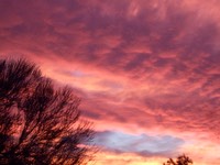 DSCF2053